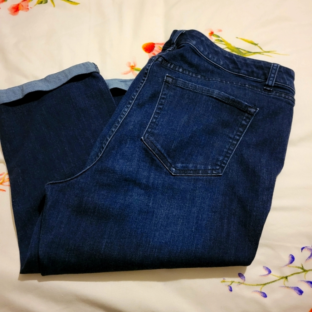 Lane Bryant Venezia Jean capri